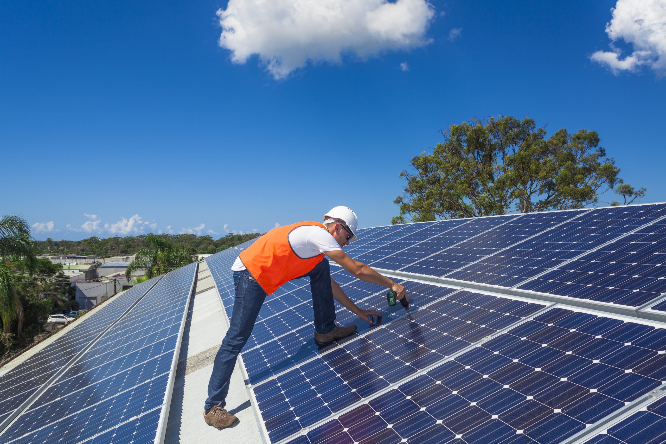 SJVN invites bids for the EPC of 100 MW of solar projects - Renewable Watch