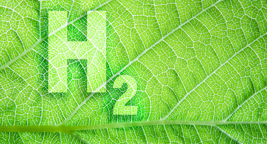 Green Hydrogen Economics